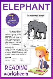 All About Elephants Nonfiction Unit Writing Activities Literacy Center Activity Nonfiction