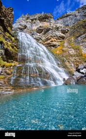 Image result for Cola greenwayi