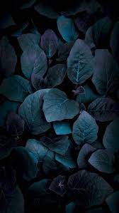 Wallpaper Mobile Wallpaper Wallpaper Iphone Solid Color Wallpaper Colorful Wallpaper Black Phone Wallpaper Backgrounds Phone Wallpapers Colorful Wallpaper