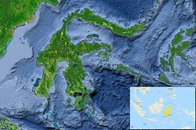 With four spindly arms spinning outward, sulawesi's spidery shape is easily recognizable. Sulawesi