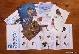 Follow big garden birdwatch to never miss another show. The Rspb Big Garden Birdwatch Are You Taking Part Wildlifegadgetman Com