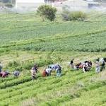 Uncertainty over #LandExpropriation process great