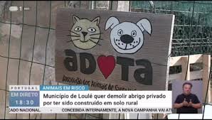 A eufico.pt deu uma entrevista ao portugal em direto na rtp1. Tv Report Portugal Em Direto Rtp1 Animal Rescue Algarve