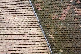 Comment Faire Son Anti Mousse Toiture Une Maison A Renover