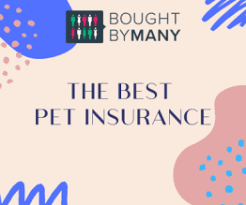 Looking for the best insurance for your pet? Best Pet Insurance For Dogs 2021 Bought By Many