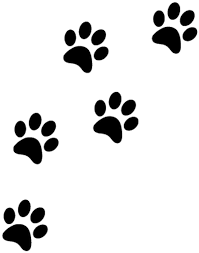 patte chat png paw prints transparent background clipart full size clipart 3715226 pinclipart patte chat png paw prints transparent