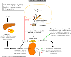 Corticosteroids