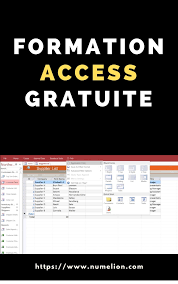 Formation Access Gratuite Et Libre Acces En 2020 Logiciel De Gestion Logiciel Logiciel Informatique