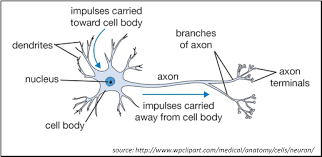 Arduino Neural Network Deep Learning Artificial Neural Network Learning Techniques