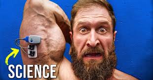 Best Bodybuilding Exercises for Each Muscle