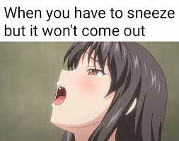 Good morning funny pictures really funny pictures funny pics crazy pictures random pictures strange pictures epic fail pictures sports pictures weird. Pin By Kakez On Reactions Memes Cursed Images Anime Memes Anime Funny Anime Memes Funny