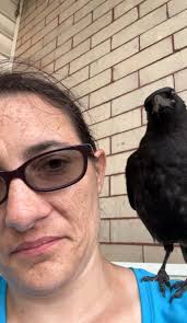 A friendly face ? We were away for a couple of nights down beside the  beautiful deep blue sea When what did we find ? a friendly face was  watching us from