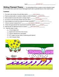 These worksheets can be used in conjunction with the videos and quizzes of this website. Contractions Coloring Worksheet Teachers Pay Teachers