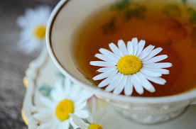 Chamomile boleh digunakan dalam pelbagai cara untuk banyak perkara, sebagai bunga cantik hiasan, dalam teh untuk membantu kecemasan yang menenangkan. Chamomile Teh Tee Foto Gratis Di Pixabay
