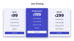 Pricing table comparing 3 different plans for a mystical computing company. Responsive Pricing Table Using Only Html Css Next Coding Blog