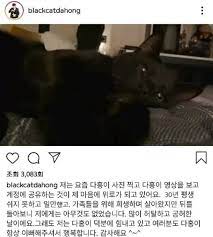 박수홍 형에 대한 폭로글이 올라온 이후 호기심이 생겨서 조카의 sns를 찾았다고 했다라며 오픈 채팅으로 대화를 나눴다. ë°•ìˆ˜í™ ê³¼ê±° ë°œì–¸ ìž¬ì¡°ëª… ì¡°ì¹´ê°€ ì‚¼ì´Œ ìœ ì‚° ë‚´ ê±° ë¼ê³  ê³µê°ì–¸ë¡  ë‰´ì‹œìŠ¤í†µì‹ ì‚¬
