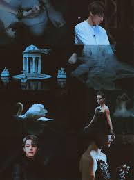 Check spelling or type a new query. Two Amaranth Bts Au Black Swan
