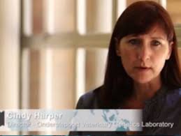 The Onderstepoort Veterinary Genetics Laboratory