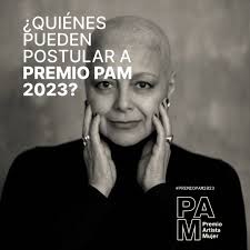 Ha sido una experiencia maravillosa trabajar con Fundación Antenna en el  programa Murales para Chile. Les deseo la mejor de las suerte y espero que  les...