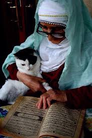 لا اله الا الله Kedi Hayvan Hayvanlar