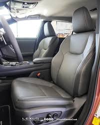 Image result for Black Onyx 2024 RZ