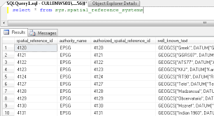 Sql Server Geography Data Type