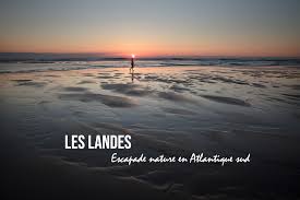 Check spelling or type a new query. 4 Jours Nature A La Decouverte Des Landes Trip In Wild Blog Voyage