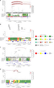 Visit the cancer council victoria website to. Association Analyses Identify 31 New Risk Loci For Colorectal Cancer Susceptibility Nature Communications