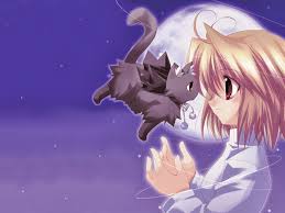 Want to discover art related to 2048x1152anime? Kawaii Anime Cat Wallpapers Top Free Kawaii Anime Cat Backgrounds Wallpaperaccess