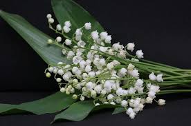 Upload, livestream, and create your own videos, all in hd. Un Tout Petit Brin De Muguet 7 Jours A Clermont