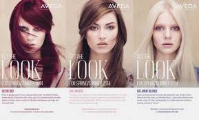 Aveda Hair Color Chart 2017 Lajoshrich Com