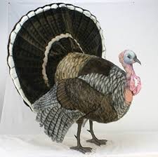Life Size Turkey Stuffed Animal Animals Plush Stuffed Animals Large Plush Stuffed Animals