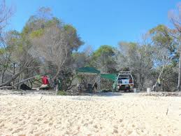 Whether you're looking for anthuriums, philodendrons, gingers, ferns, plumerias, bananas, exotic plants or weird plants, you can shop our tropical nursery for plants for your home. Beach Camping Zone 9 Diray And Carree K Gari Fraser Island Great Sandy National Park Parks And Forests Department Of Environment And Science Queensland