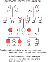 Wie hilft ein stammbaum beim bestimmen von phänotyp und genotyp? Freies Lehrbuch Biologie 08 16 Erbkrankheiten Ii