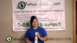 Identificador del producto utilizado en la etiqueta. Alpine Flea Control Spray Epestsolutions Youtube