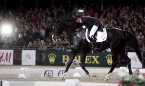 Anky van grunsven and salinero kur london olympics 2012. Anky Van Grunsven Nog Zonder Salinero Foto Ed Nl