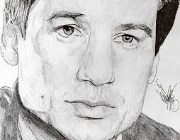 Mulder Projects :: Photos, videos, logos, illustrations and branding ::  Behance