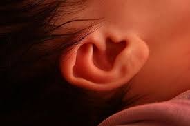 As new wax is produced, the old wax is pushed further outwards. Stop Cleaning Inside Your Ears It S Bad For You Smart News Smithsonian Magazine