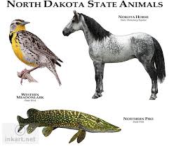 Full Color Illustration Of A State Animals Of North Dakota North American Animals Animals Animal Planet