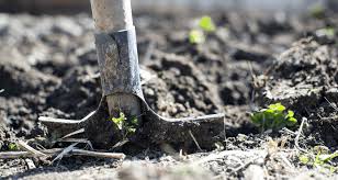 Digging out the basement to obtain higher ceilings is an expensive undertaking. Digging Out A Basement Custom Home Builder Blog Petrine Construction