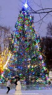 Boston Event Calendar December 2015 Best Things To Do Christmas Tree Lighting Decorating With Christmas Lights Outdoor Christmas Lights