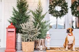 Boxing Day Sales Are Here Jillian Harris Boxing Day Holiday Decor