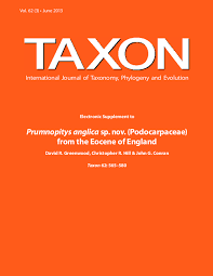 Image result for Aster milanjianus