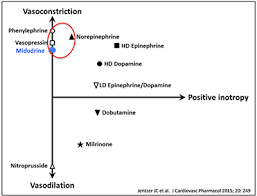 Image result for Vasopressor