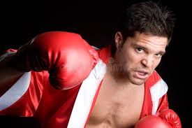17,625 Professional Boxer Stock Photos