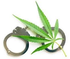 Der anbau von cannabis wird in deutschland strafrechtlich verfolgt. Sind Cannabis Samen In Deutschland Legal Hanfsamenladen