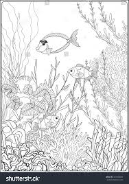 Korallenriff ausmalbilder ausmalbilder ausmalen und. Pin Auf My Coloring Pages