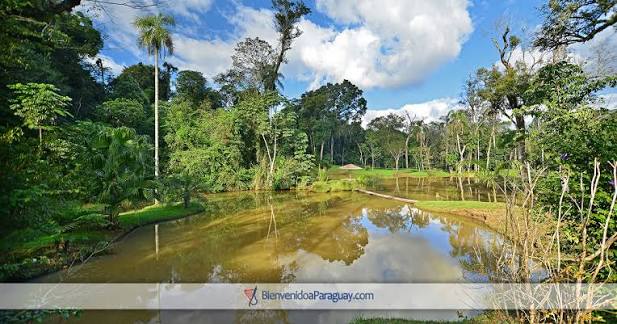 Bienvenido a Paraguay.COM » Capitán Meza » Reserva Natural Sauer