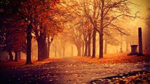 Brown Wooden Tree Branch Painting Artwork Painting Fall Trees Pastel 2k Wallpaper Hdwallpape In 2021 Autumn Wallpaper Hd Fall Wallpaper Background Hd Wallpaper