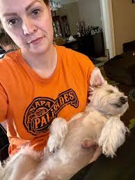 Working dogs can't always work. They need to rest. David rests frequently.